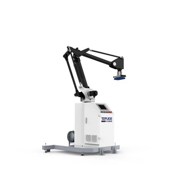 Kolaborasyon robo palletizer